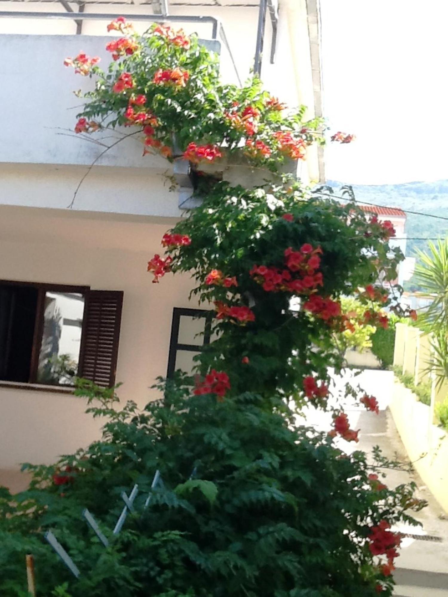 Villa Tamaris On The Beach Podstrana Habitación foto